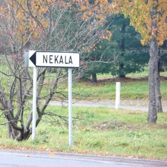 We're In The Ghetto (And I Just Wanna Die)