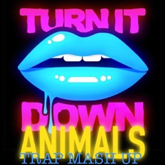 Kaskade - Turn It Down Animals (Vadehound's Trap Mashup Remake) [Free Download, Click BUY]