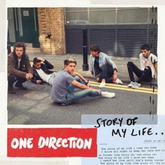 One Direction - Story Of My Life - Cover