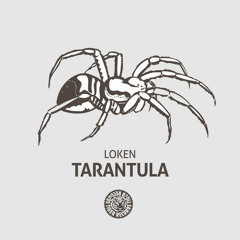 Loken - Tarantula [Tiger Records] - Out Now!