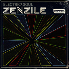 STAY - ZENZILE (REMIX BY DIEL) - Electric Remixes