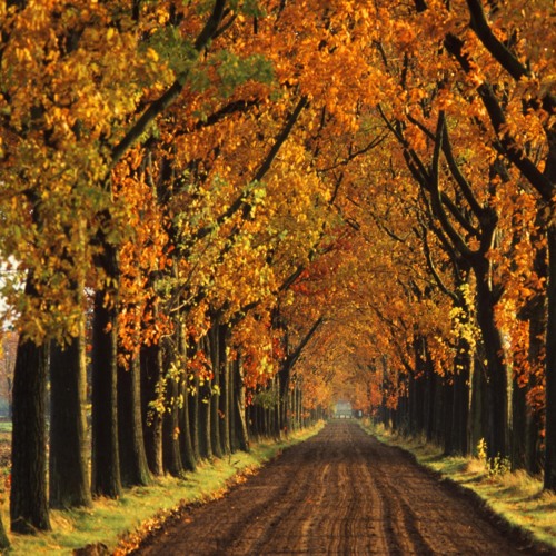 October- By Eric Whitacre, Played by Joey and Jesse Fischer
