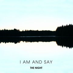 THE NIGHT - Like This