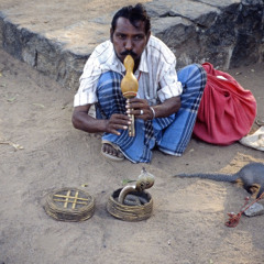 Pungi Peace Pipe