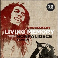 Three Little Birds - Nonpalidece -BM Living Memory