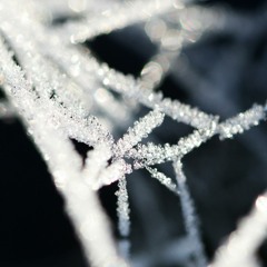 7. This Is A Lie (The Cure Cover)