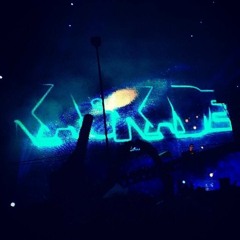 Kaskade- Turn It Down Animals (EDC Orlando Trap Mashup)