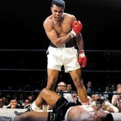 Frazier- Roze Gold Pharoah