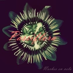 Riverside - Passiflora- Noches En Vela: En Vivo