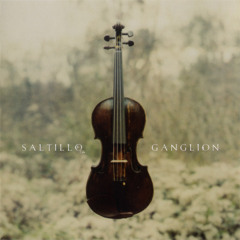 Saltillo - Giving In