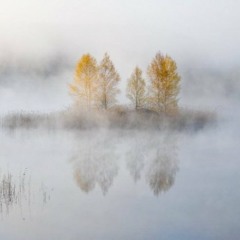 ПРЕДРАССВЕТНЫЙ ТУМАН