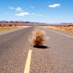 Tumbleweed