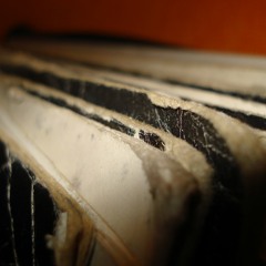 DHAGO DJ Pres. HOT DISCO DUST