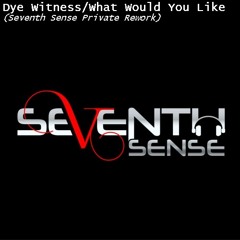 Dye Witness - What Would You Like (Seventh Sense Private Rework Preview)