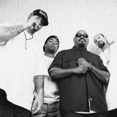 Cypress Hill - Insane in the brain (Sack Muller Rework)
