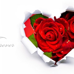 Nout SOne Yin Khwin
