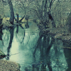 Welcome, Renewed Life