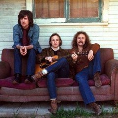 Almost Cut My Hair - Crosby, Stills & Nash (The Rock & Roll Hall Of Fame)