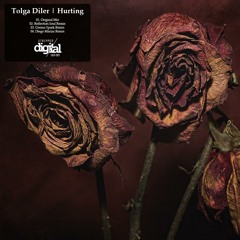 Tolga Diler - Hurting (Diego Macias Remix) [Clip]