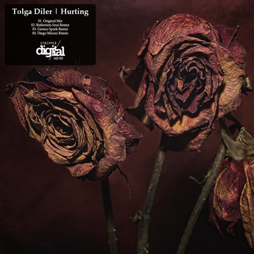 Tolga Diler - Hurting (Diego Macias Remix) [Clip]