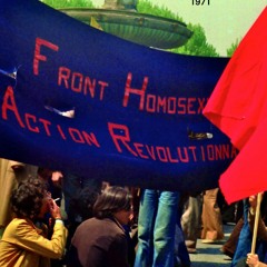 Chronique MH Bourcier Bang Bang : le rapport contre la normalité du FHAR réédité : ça peut servir