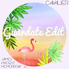 James Vincent Mcmorrow - Cavalier - Guardate Edit - free DL in description