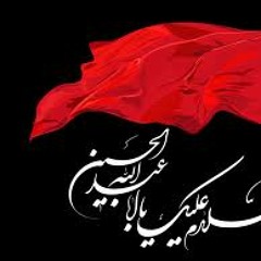 «امشبی را شه دین در حرمش مهمان است عصر فردا بدنش زیر سم اسبان است»