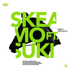 Skeamo FT. Suki - Wild Pony (David Molina Remix)LOW QUALITY 128kb