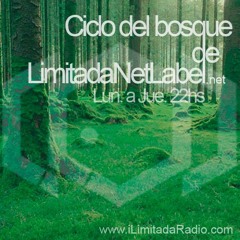 Tema Del Bosque (Cortina musical)