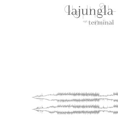 Terminal