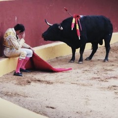The Sad Matador