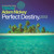 Artwork for Adam Nickey - Perfect Destiny (Allende Remix - Edit) [Touchstone]