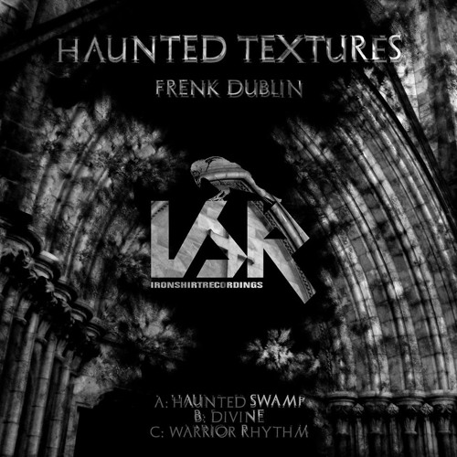 Frenk Dublin - Haunted Swamp (Original Mix) [Iron Shirt Recordings]