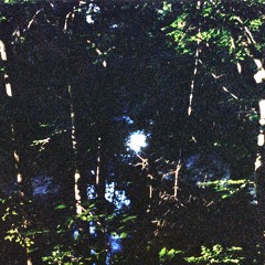 Sittin On The Dock Of The Bay