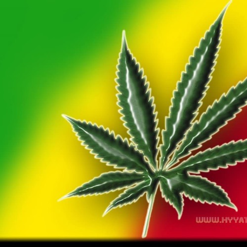 Dub On The Wax