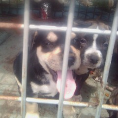 The Feelings Of A Broke Nigga at Florence County