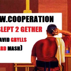 S.W.Cooperation -- Slept 2 Gether (David Grylls Hard Mash)
