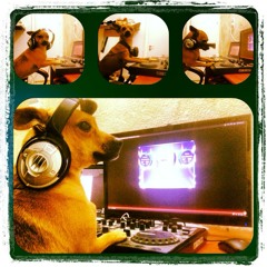 Like My Radio 13.11 Part 2