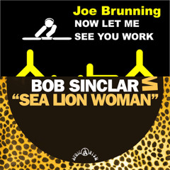 Bob Sinclar vs Joe Brunning - Now Let Me See You Work Sea Lion Woman (KevinF Reboot)