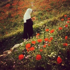 Divino Deserto - Carmelo Teresina