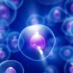 Cell Krush Original mix Asher & Jamsh