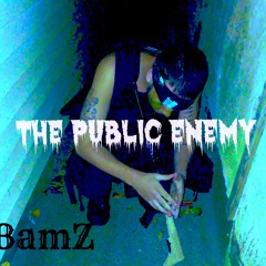 I Am The Public Enemy