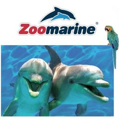 Promo Zoo Marine