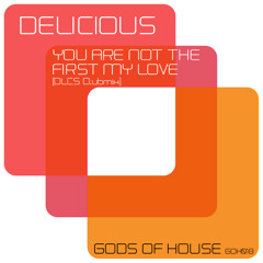 Delicious - You Are Not The First My Love (DLCS Clubmix)
