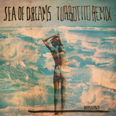 Baby Alpaca- Sea Of Dreams (Turbotito Remix)