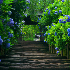Relaxing Piano Music -- Work, Study, Meditation -- Relaxdaily N°045