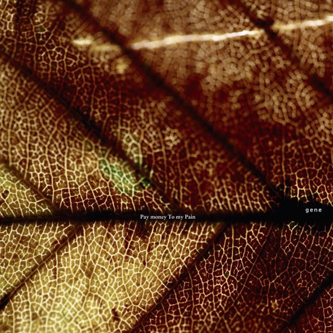 Pay Money To My Pain – Another Day Comes – CD (Album), 2007