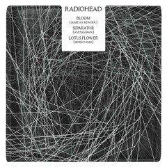 Radiohead/ Separator (Vinyl Rip)
