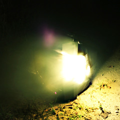 Passenger Pigeons - Her Lullaby