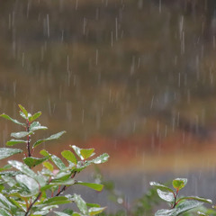 Höstregn Avslappningsmusik Sanna Lundborg
